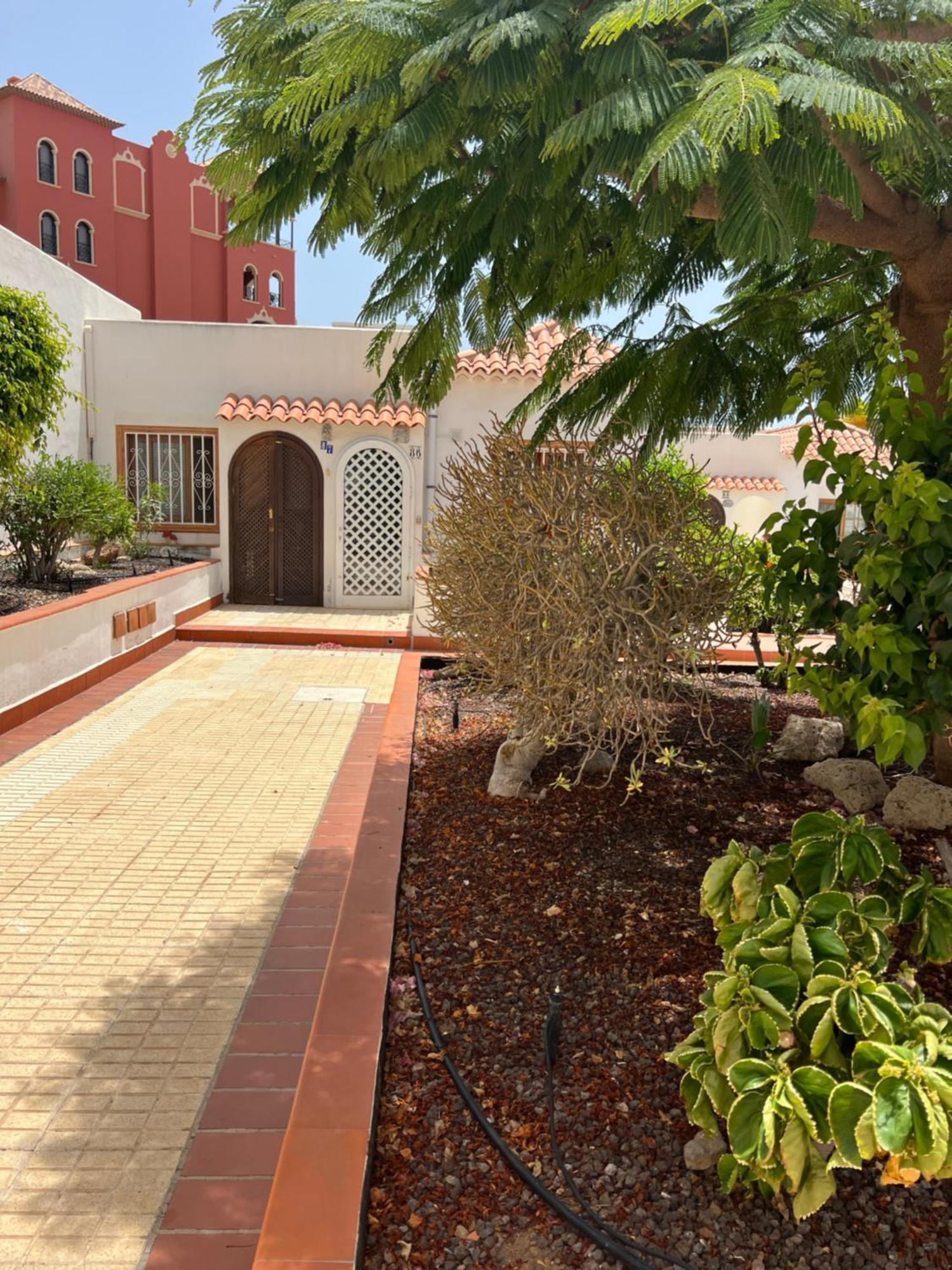 Cactus'S House, 150 M Beach, 1 Bdr, 4 Guests, Wifi, Netflix, Costa Adeje  Extérieur photo